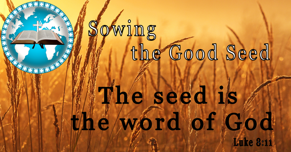 A Field of Grain - If we would sow good seeds of light and truth, we must first go to the source of all light and truth and receive from Him the seed we are to sow.